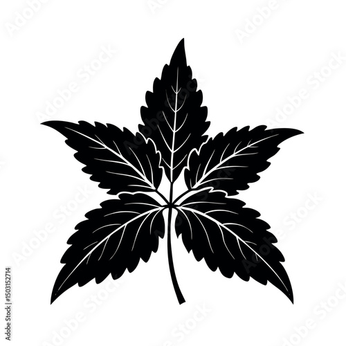 nettle leaves black white vector silhouette