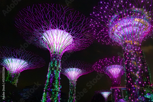 Dream in Purple
