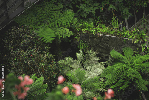 Verdant Layers