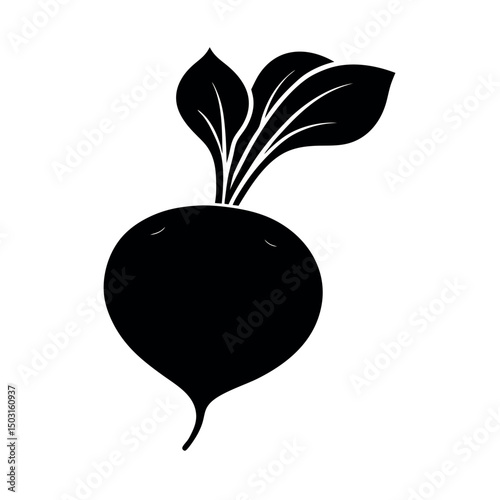 radish vector illustration 