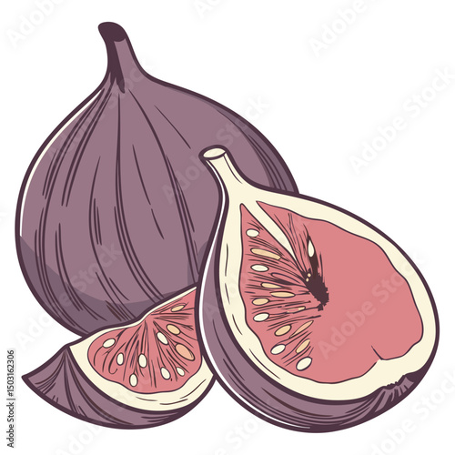Ripe Fig Fruit Vector Illustration Deep Purple Exterior Realistic Fresh Fig with Slice and Seeds

