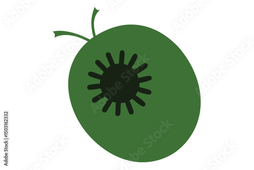kiwi fruit isolated on white background
