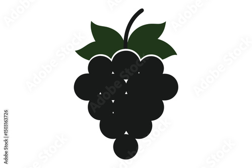 vector illustration of grapes