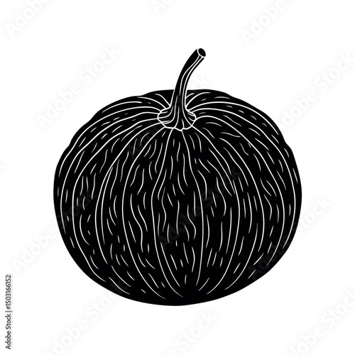 vector illustration of a spaghetti squash