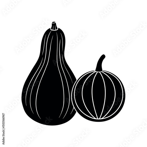 set of vegetables squash and gourd