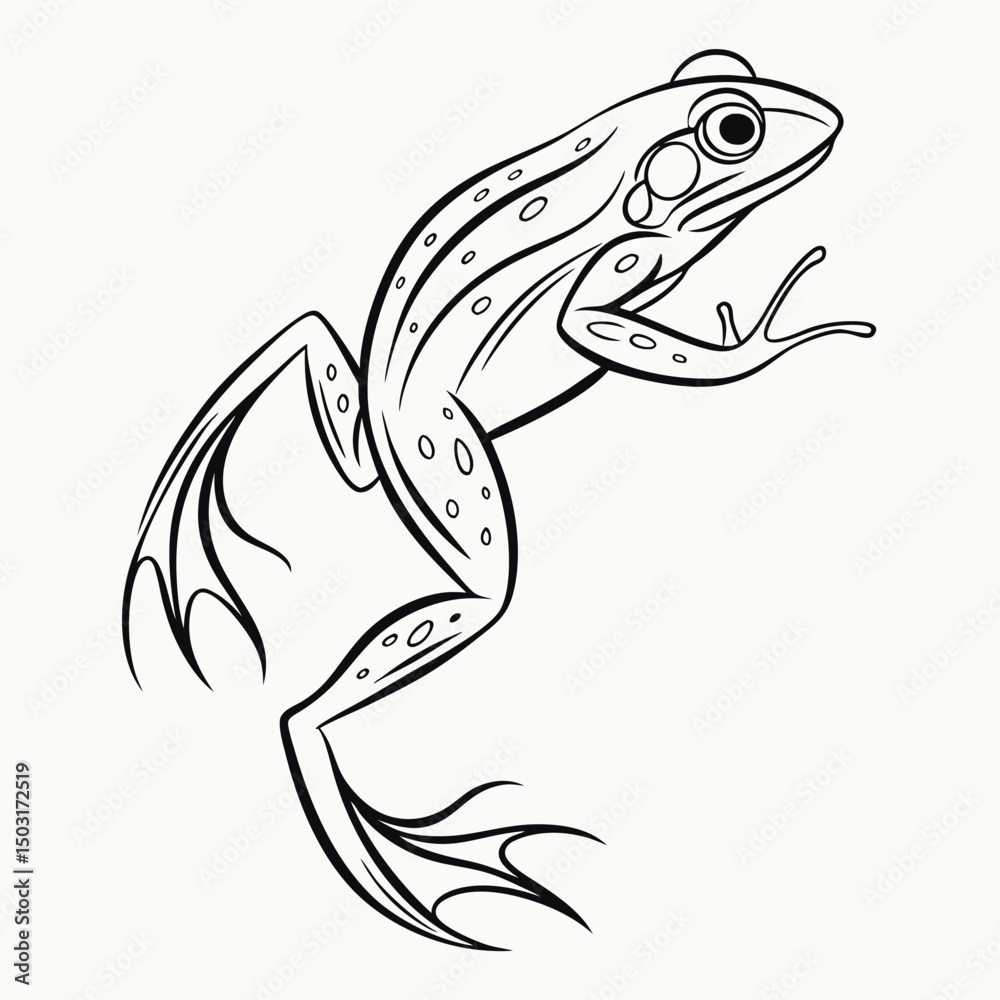 Fototapeta premium Simple Stylish Line Art Vector of Leaping Frog with Minimalist Design and Dynamic Nature Illustration
