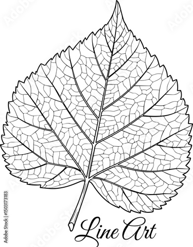 Detailed Leaf Veins Line Art