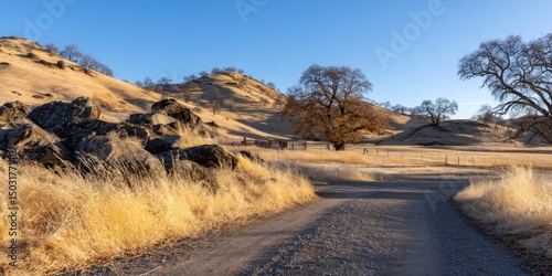 Scenic road journey through golden hills california nature landscape photography serene environment wide angle perspective