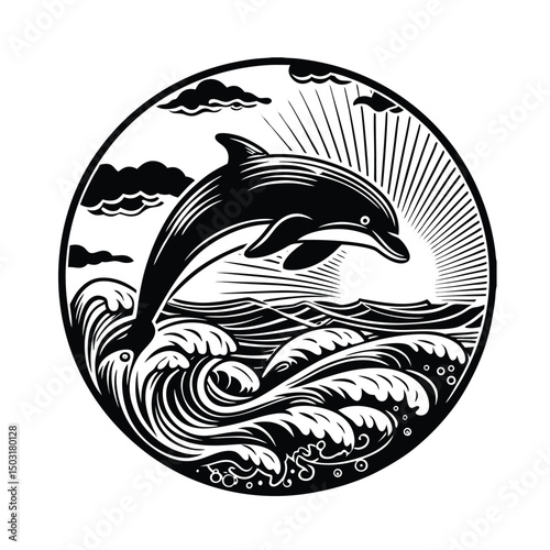 Dolphin in the water