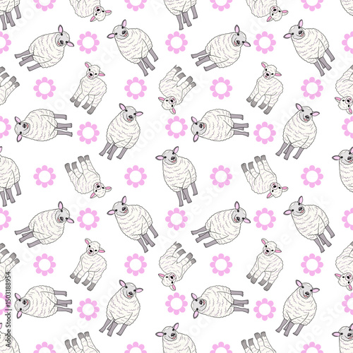 Cute sheep pattern, white isolate background