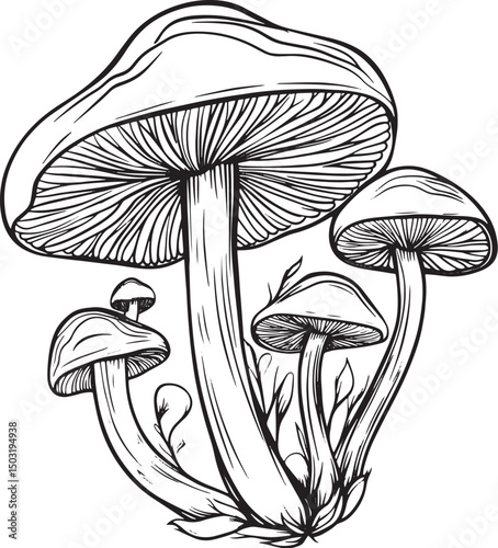mushroom vector illustration