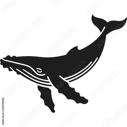 Whale Swimming Icon