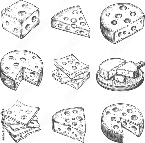 Set illustrations of cheese isolated on transparent background. Vector clipart