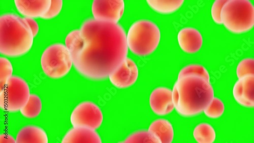 Colorful peaches floating in green screen background create vibrant and lively atmosphere