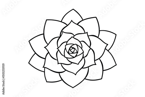 Elegant line art succulent flower design botanical illustration