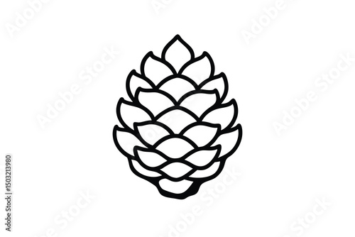 Simple line drawing of a pine cone natural botanical illustration