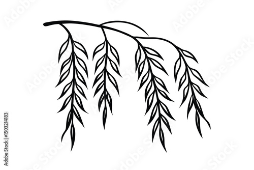 Elegant black willow branch illustration design element
