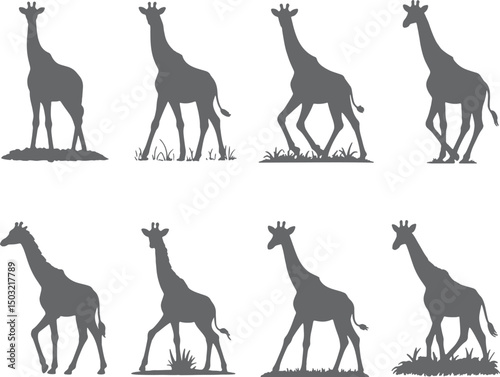 Eight silhouettes of giraffes in african savanna