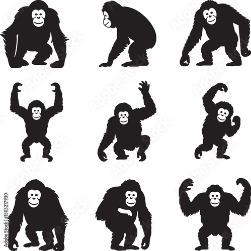 Nine orangutan silhouettes various poses black white
