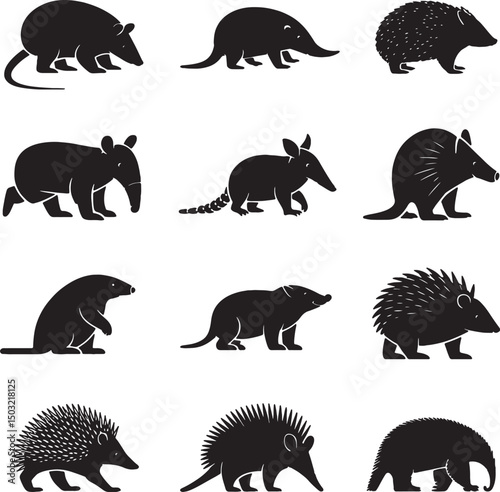 Silhouettes of nine different edentate mammals