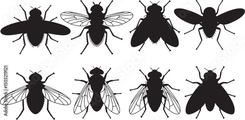 Eight silhouettes of various flies insects