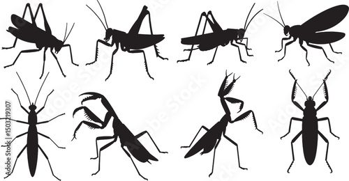 Collection of silhouettes various insects grasshoppers praying mantises