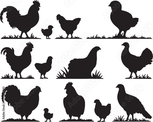 Silhouettes of chickens roosters hens chicks farm animals