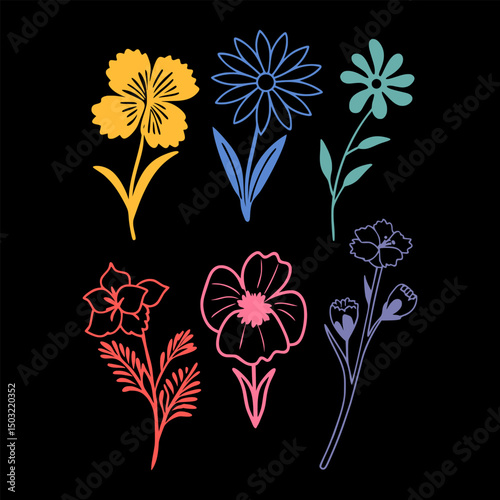 Elegant Floral Wildflower Illustration set