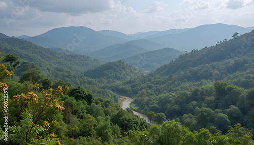view of jim corbett national park