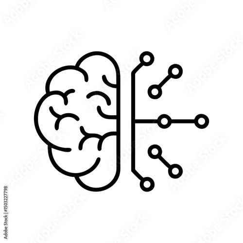 brain