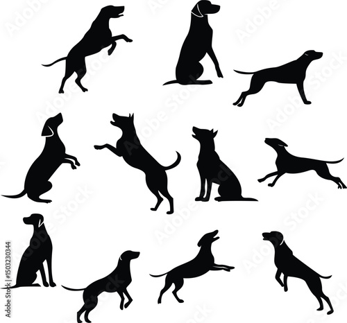 Silhouette dogs