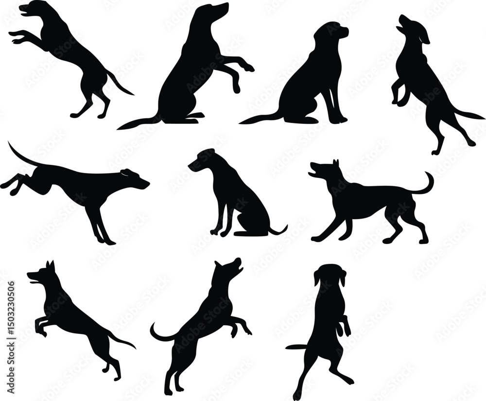Fototapeta premium Loyal Companion Dog Silhouette in Nature