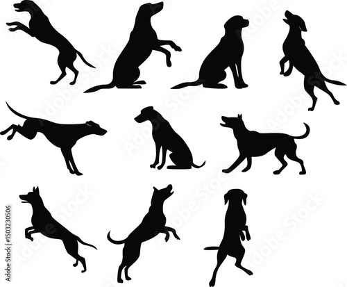 Silhouette dogs