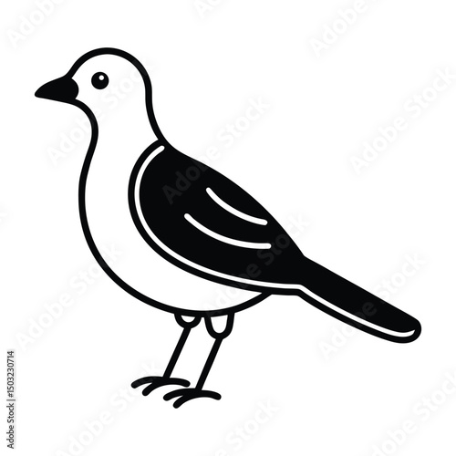 dove isolated on white