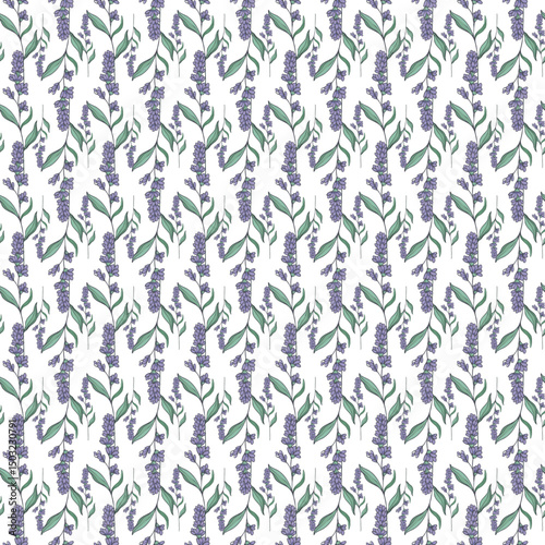 Seamless Pattern with Lavender Floral Design on White Background