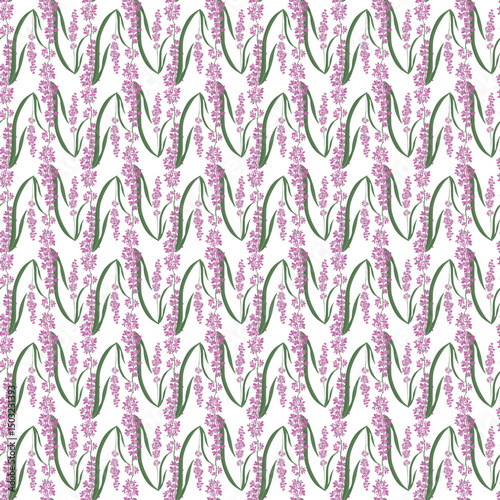 Seamless Pattern with Lavender Floral Design on White Background