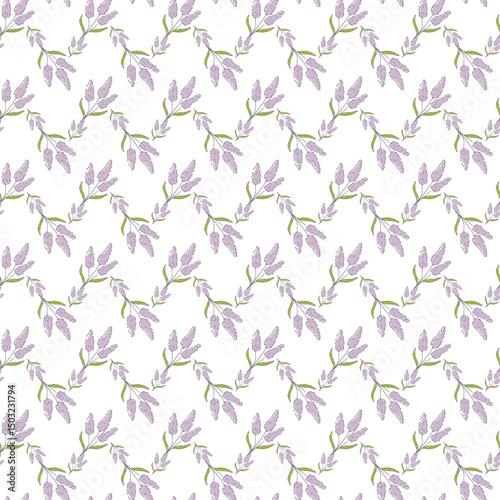 Seamless Pattern with Lavender Floral Design on White Background