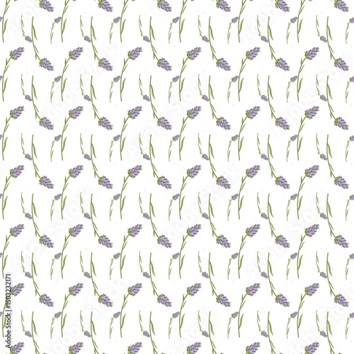 Seamless Pattern with Lavender Floral Design on White Background