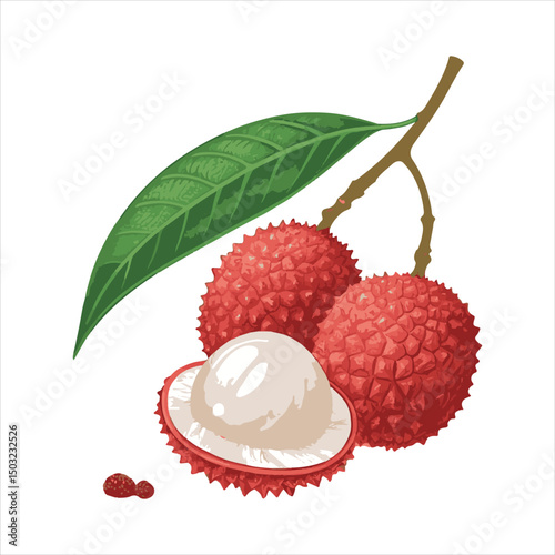 lychee Vector 
