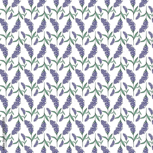 Seamless Pattern with Lavender Floral Design on White Background