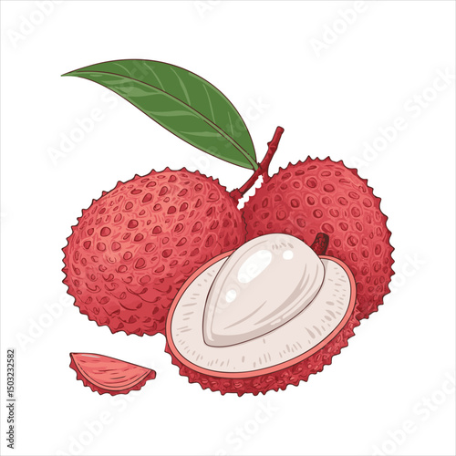 lychee Vector 