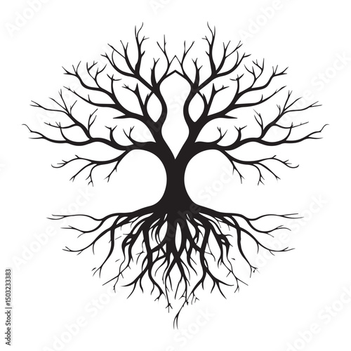 Black silhouette of tree with exposed roots