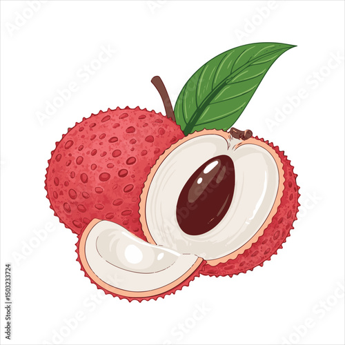 lychee Vector 