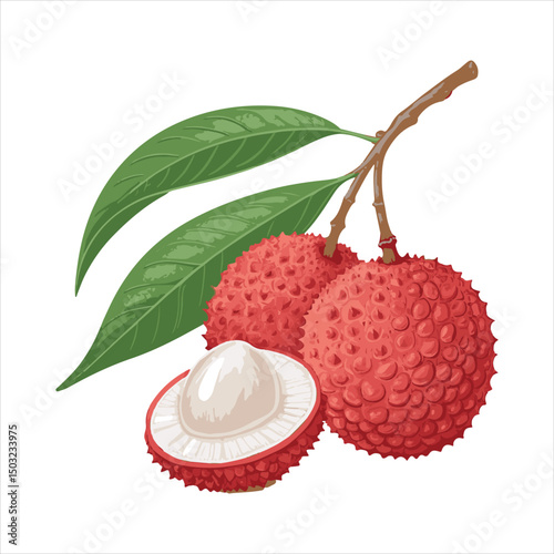 lychee Vector 