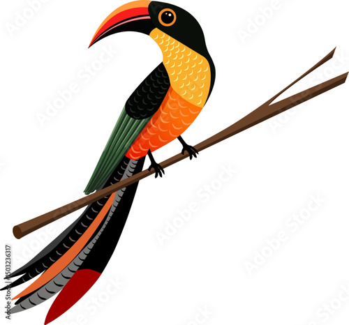 colourful tropical bird with big beak