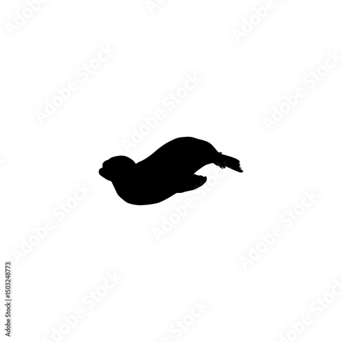 Silhouette or the Pinnipeds, Sea Lions, can use for Logo, Pictogram, Aquatic  Animal, Poster or Graphic Design Element. Vector Illustration