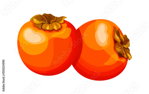 Set of fresh orange persimmons in cartoon style. Vector illustration of two whole sweet persimmons with stems isolated on white background. Useful berries. Seasonal fruits. Logo. Banner.