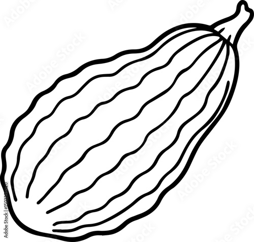 bitter gourd outline coloring book page line art vector illustration