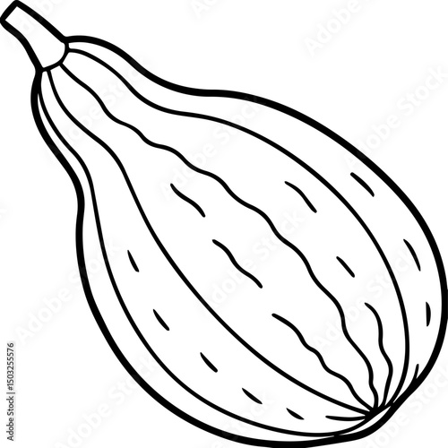 bitter gourd outline coloring book page line art vector illustration