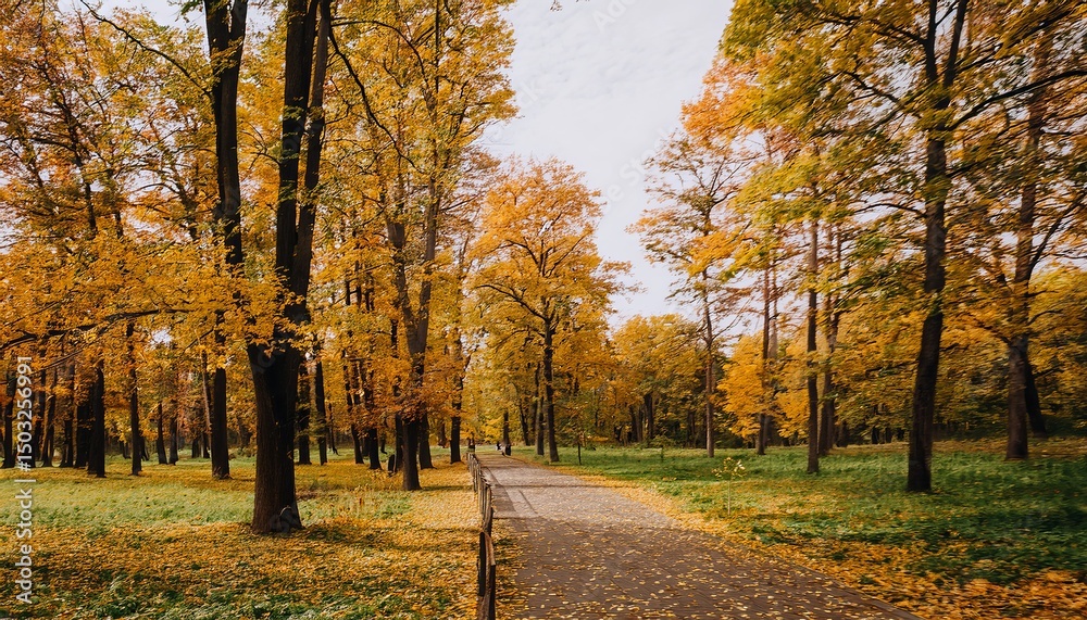 Naklejka premium Autumn landscape, fall nature scene, beautiful autumnal park in golden sunset light